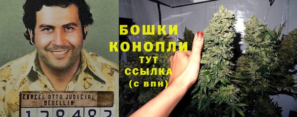 PSILOCYBIN Мегион