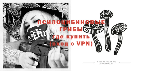 крисы Аша
