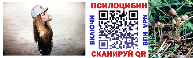 omg сайт  Дубна  Галлюциногенные грибы GOLDEN TEACHER 