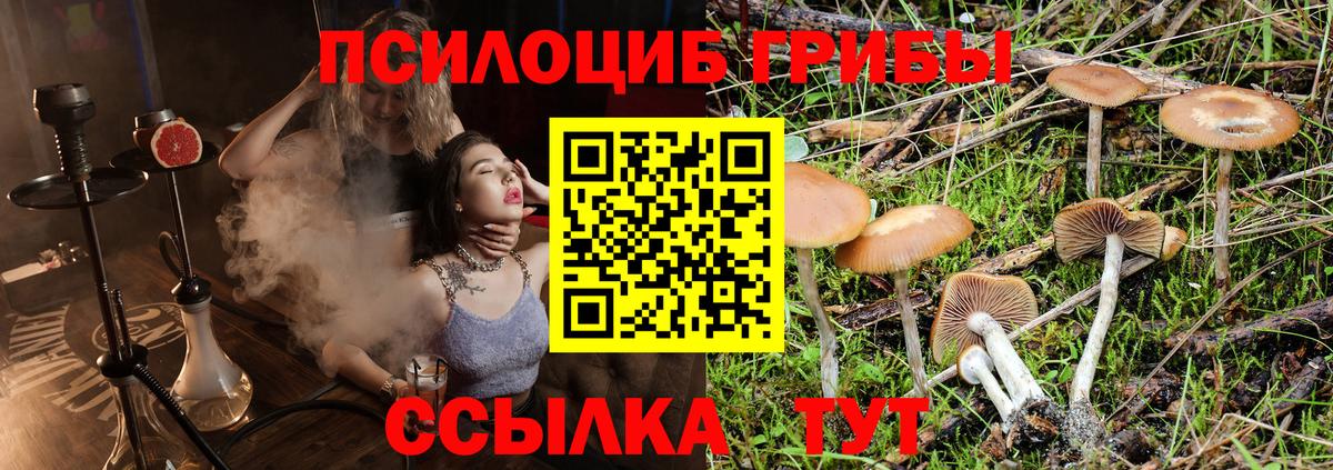 Галлюциногенные грибы Magic Shrooms Дубна