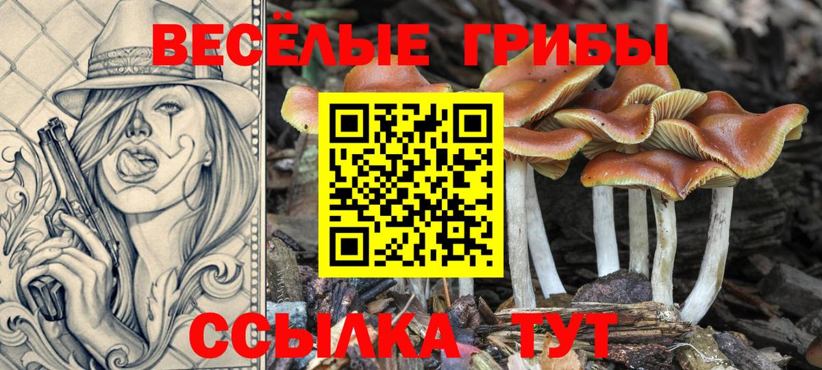 Галлюциногенные грибы прущие грибы  даркнет сайт  Дубна  Галлюциногенные грибы Magic Shrooms  Вход с VPN 