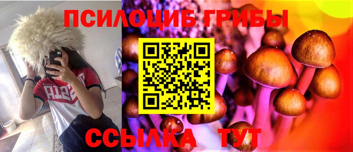 Псилоцибиновые грибы GOLDEN TEACHER Дубна