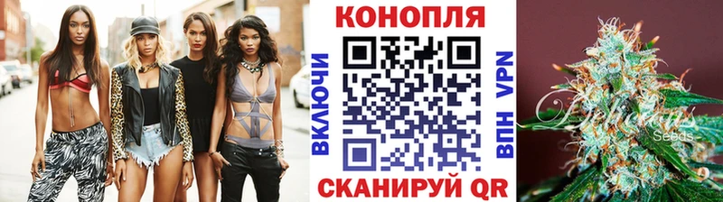 Конопля гибрид  Дубна 