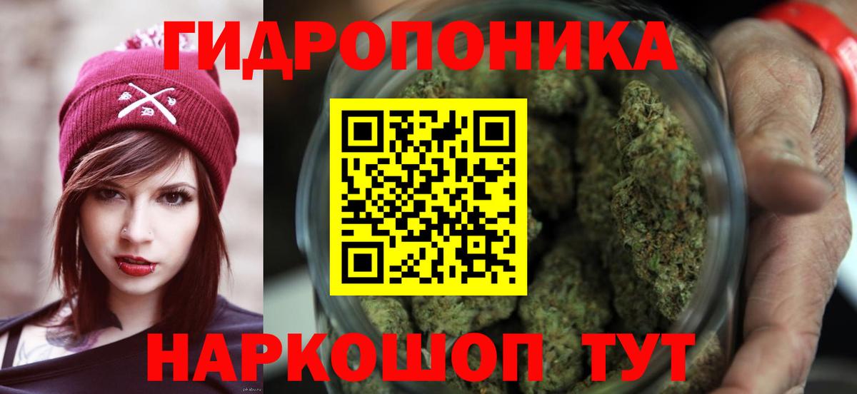 Бошки Шишки White Widow  Вход с VPN  Дубна  Конопля White Widow  Бошки Шишки тримм 